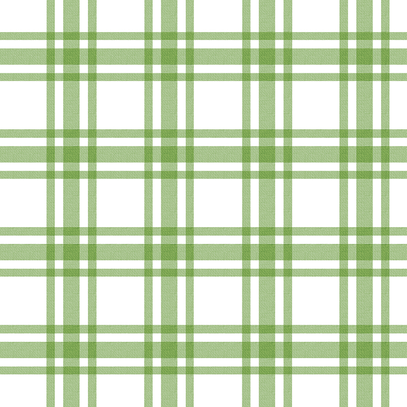 Light Green White Check